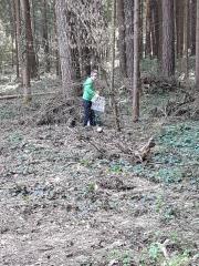 20180407_094415 (002)